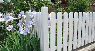 Best Garden Fencing Option