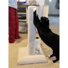carpet cat scratching post