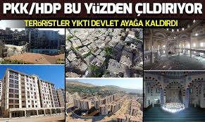 PKK yıktı Devlet yaptı ile ilgili görsel sonucu