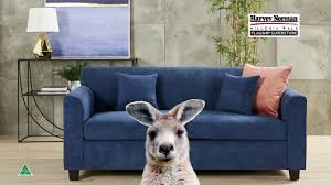 made in australia sofas harvey norman