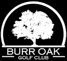 Burr Oak Golf | Just another WordPress site