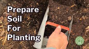 prepare soil for planting secrets of