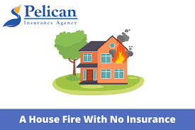Pelican Insurance Agency gambar png