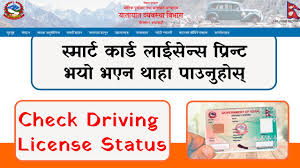how to check smart driving license