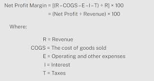 what is net profit margin definition