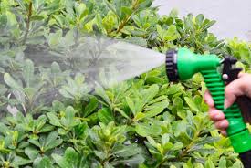 Garden Water Hose Nozzle Or Holder