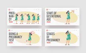 Premium Vector | Maternity, female pregnancy stages landing page template  set. positive test, calendar date, growing belly, woman eating and carry  baby on hand, child delivery. cartoon people vector illustration