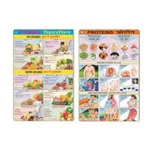 Chart On Food And Nutrition Educational Charts Ballygunge