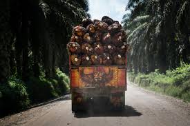 Long road ahead for ethical palm oil in booming Indian market