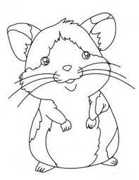 Your kid will enjoy his time with these hamster coloring pages free. How To Become Friends With A Pet Hamster Animal Coloring Pages Pets Preschool Coloring Pages