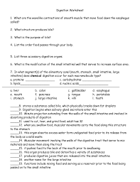 Check the answers of worksheet on digestion Digestion Worksheet Review