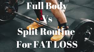 full body workouts or split routines