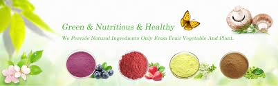 Erythritol And Monk Fruit Extract What Is Your Option