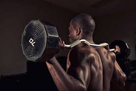 muscle gain workout plan