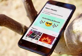 Downloadbureau Apple Music Streams Will Get More Weight On