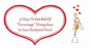 Mosquitoes To Your Backyard Pond