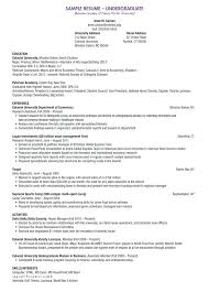Example It Resume Professional It Resume Example Resume Template
