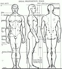 Here you will learn how to draw a person from a 3/4 view. How To Draw Bodies Realistically Step By Step Drawing Tutorials
