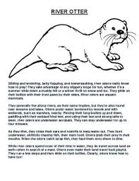 River Otter Worksheets Teaching Resources Teachers Pay