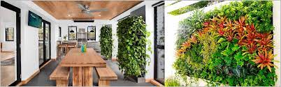 10 best indoor vertical garden plants