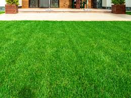 top dressing a lawn how and why love