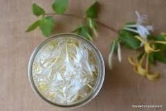 Can you use honeysuckle flowers for tea?