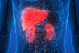 new targets for a rare kidney and