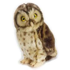 plush toy little owl national