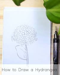 how to draw flowers step by step