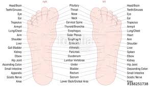 Foot Reflexology Zone Massage Chart With Areas And Names Of