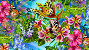 Rainbow Butterfly Wallpapers - Top Free ...