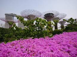 visit gardens by the bay
