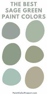 Everything About The Color Sage Green
