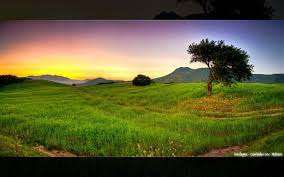 Hd Sunset Landscapes Nature Fields Hdr Photography Photo