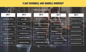 5 day dumbbell and barbell workout plan