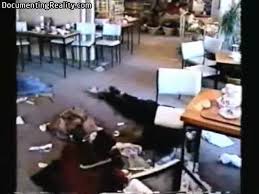 Police remove the body of a victim killed in the port arthur massacre. Port Arthur Massacre Victoria Police Video Part 1 Graphic The Crazz Files