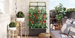 growing successful container gardens