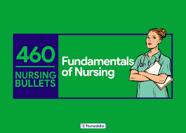 460 nursing bullets fundamentals of