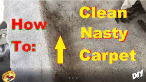 dirtest carpet upholstery