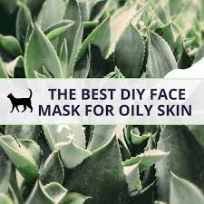 best homemade face mask for oily skin