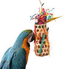 why parrots need foraging toys