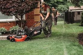 Lawn Care And Lawn Maintenance