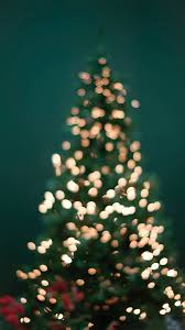 Aesthetic Christmas Wallpaper Trees ...