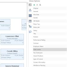 How To Apply A Predefined Org Chart View Mode Quickly Org