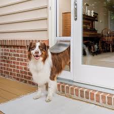 Best Dog Doors For Sliding Glass Doors