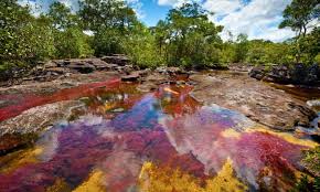 Caño cristales is (rightfully) becoming one of colombia's most iconic sights: Colombia S Rainbow River Benefits From Peace Deal Colombia Holidays The Guardian