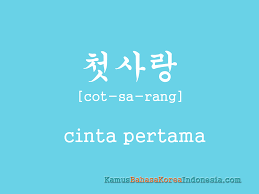 Chagiya artinya adalah sayang, penggunaan kata ini begitu mendalam di negara korea. 30 Kata Kata Cinta Bahasa Korea Kata Mutiara