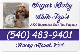 Puppy mills and scammers are flourishing online, so we wanted to create a place that really rewards ethical breeders. Sugar Baby Shih Tzu S At Loli Pop Farm 72 Woodside Ln Rocky Mount Va 24151 Yp Com
