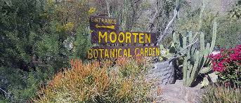 Historic Moorten Botanical Garden