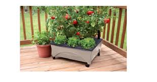 patio raised garden bed grow box kit